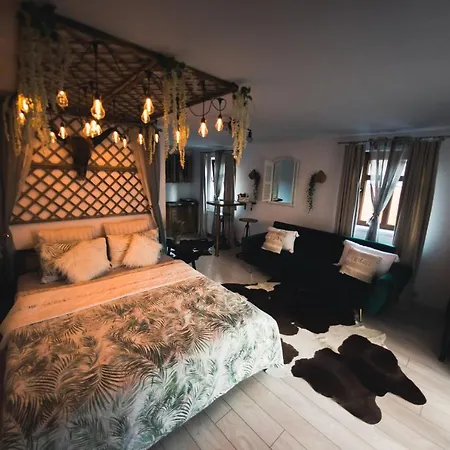 Hanul Anei Homestay