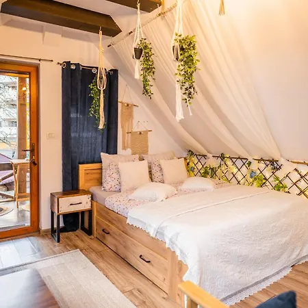 Hanul Anei Homestay szállás *