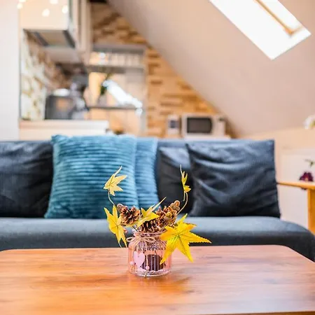 Hanul Anei Homestay szállás Brassó