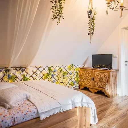 Hanul Anei Homestay szállás *