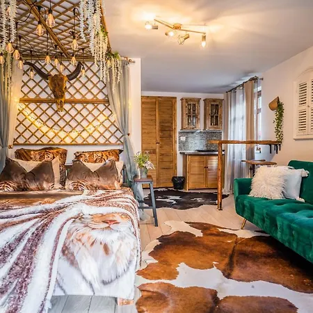 Hanul Anei Homestay Brasov